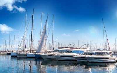 Assessing the Marina Industry in 2021